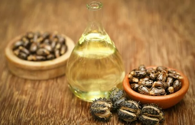 is castor oil good for receding hairline